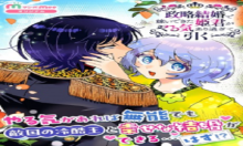 政略結婚で嫁いできた姫君がやる気あり過ぎて引く