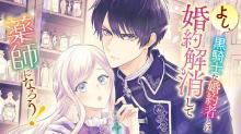 よし、黒騎士な婚約者とは婚約解消して薬師になろう！